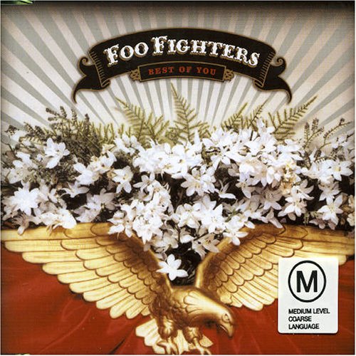 Foo Fighters - Best of You [UK-Import] - Zortam Music