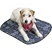 Small Dog Bed : MIRACOOL MAT - KEEP YOUR DOG COOL WHEN IT'S HOT - SMALL - 18 X 14