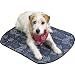 Large Dog Bed : MIRACOOL MAT - KEEP YOUR DOG COOL WHEN IT'S HOT - LARGE - 36 X 26