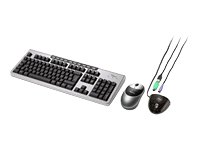Festnetztelefone: Fujitsu Siemens KBPC MX RF Wireless Multifunktion Tastatur schnurlos 105 Tasten MS WXP NO + Cordless Optical Maus Silber