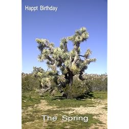 Relaxation: The Spring:Happy Birthday Greeting Card