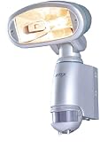 RITEX �h�J�Z���T�[ �n���Q�����C�g 150W V-1150