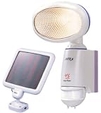 RITEX ソーラーライト ECO S-60
