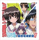 �C�����̋�AUFO�̉� �����d�g�V�� ���O