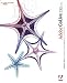 Adobe GoLive CS2.0 ���{��� Windows��