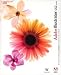 Adobe Illustrator CS2.0 ���ܸ��� Windows��