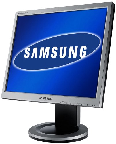 Festplatten: Samsung Syncmaster 913B 19 Zoll TFT Monitor (Kontrast 700:1, 8 MS Reaktionszeit)