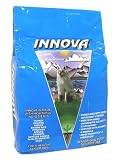 INNOVA �h�b�O�t�[�h�V�j�A3kg