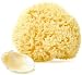 Wool Sea Sponges