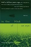 In the Blink of an Eye