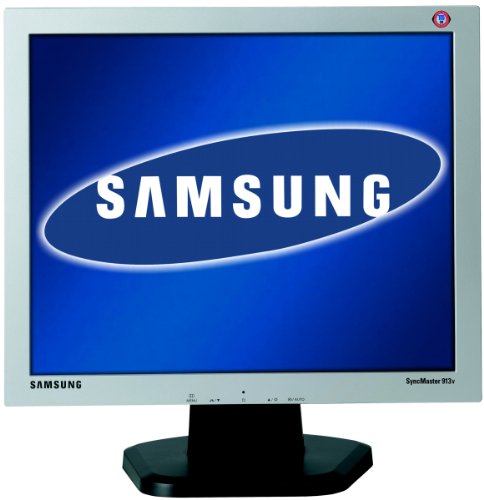 Festplatten: Samsung Syncmaster 913V 19 Zoll TFT-Monitor (Kontrast 600:1, 12ms Reaktionszeit)