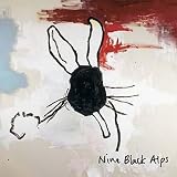 Everything Is by Nine Black Alps