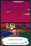 Nintendo DS - Animal Crossing: Wild World