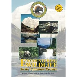 Encountering Wildlife In The Canadian Rockies