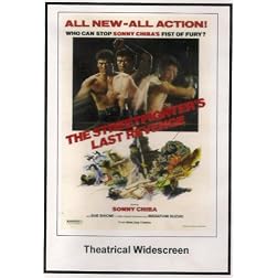 The Street Fighter's Last Revenge: Theatrical Widescreen