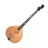 Goldtone Banjola