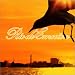Rio de Emocion (�ꥪ���ǡ����⥷����)