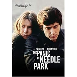 The Panic in Needle Park