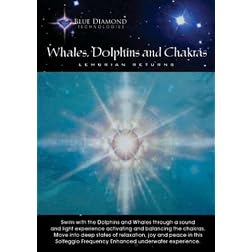 Whales, Dolphins & Chakras