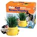 Chia Cat Grass Planter Featuring Sylvester & Tweety, 1 Kit