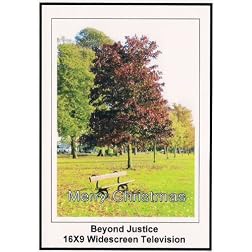 Beyond Justice: Widescreen TV.: Merry Christmas