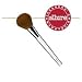 Clinique Powder Brush