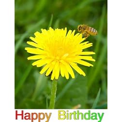 Be Big: Greeting Card: Happy Birthday