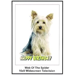 Web of the Spider: 16x9 Widescreen TV.: Greeting Card: Happy Birthday