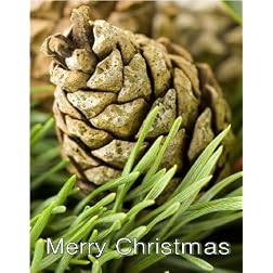 The Brain That Wouldn't Die: 16x9 Widescreen TV.: Greeting Card: Merry Christmas