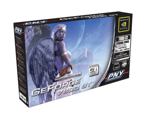 Projektoren: PNY Nvidia Geforce FX 7800 GT Grafikkarte PCI Express Retail (256 MB DDR Ram, 2x DVI, HD TV Out)