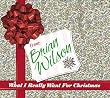 What I Really Want for Christmas