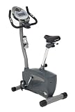 Schwinn 113 Upright Exercise Bike