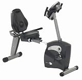 Schwinn 213 Recumbent Exercise Bike