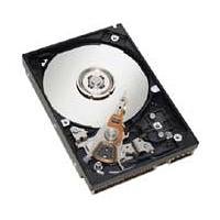 Heimkinosysteme: HP HDD Festplatte 250.0 GB S-ATAII/300