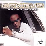 Hip Hop for Sale Explicit Lyrics by Canibus
