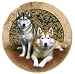 SIBERIAN HUSKIES Husky Dogs Set 4 Stone COASTERS New!