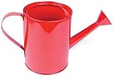 Metal Watering Can - Red