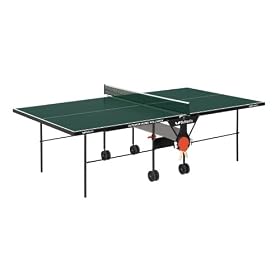 Butterfly TW23 Outdoor Home Rollaway Table Tennis Table by Butterfly