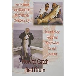 How To Catch Red Drum