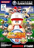 実況パワフルプロ野球12決定版