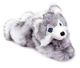 Baby Scout Husky by 