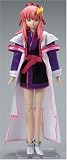 �A�N�V�����t�B�M���A�R���N�V���� �@����m�K���_��SEED DESTINY ���N�X�E�N���C��