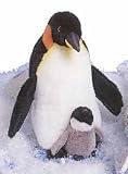 cover of Emperor Penguin with Baby 13
