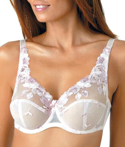 Sexy Lingerie Fayreform Beauty Underwire bra