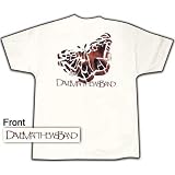Dave Matthews Band Butterfly T-Shirt