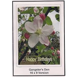 Gangster's Den; 16x9 Widescreen TV.: Greeting card: Happy Birthday