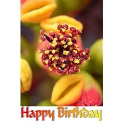 A Boy and His Dog: 16x9 Widescreen TV.: Greeting Card: Happy Birthday