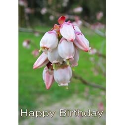 Angel And The Badman: Widescreen TV.: Greeting Card: Happy Birthday