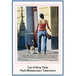 Cat O'Nine Tails: Widescreen TV.: Greeting Card: Happy Birthday