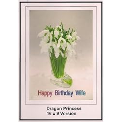 Dragon Princess: Greeting Card: Happy Birthday Wife